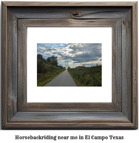 horseback riding near me in El Campo, Texas